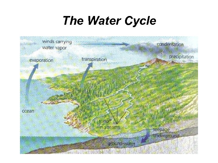 The Water Cycle 