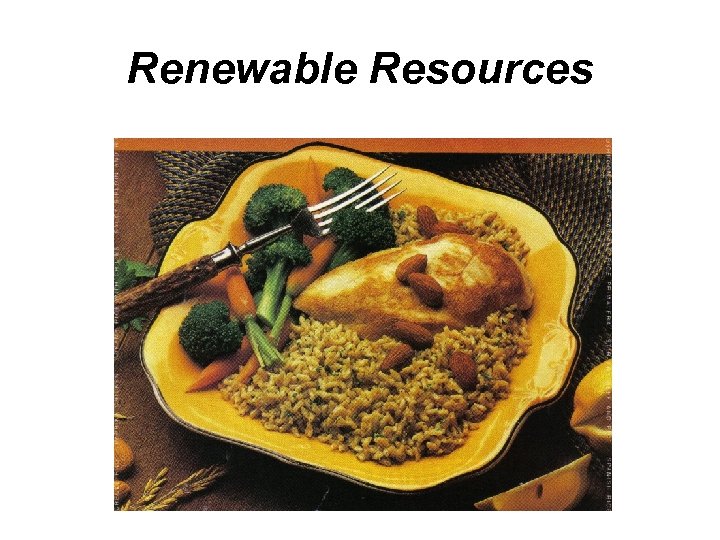 Renewable Resources 