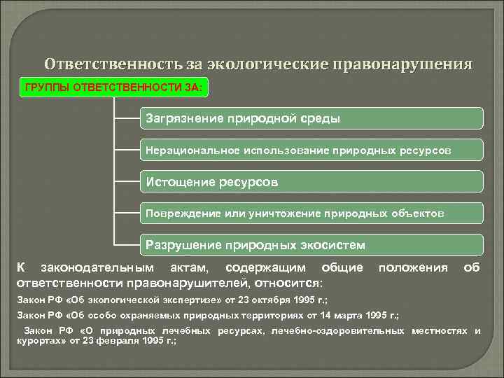 Юридическая и экономическая ответственность предприятий загрязняющих окружающую среду презентация