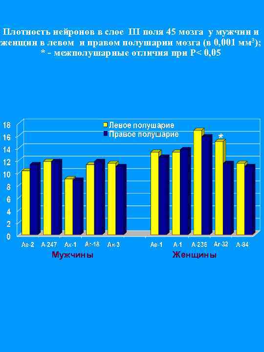 Плотность нейронов в слое III поля 45 мозга у мужчин и женщин в левом