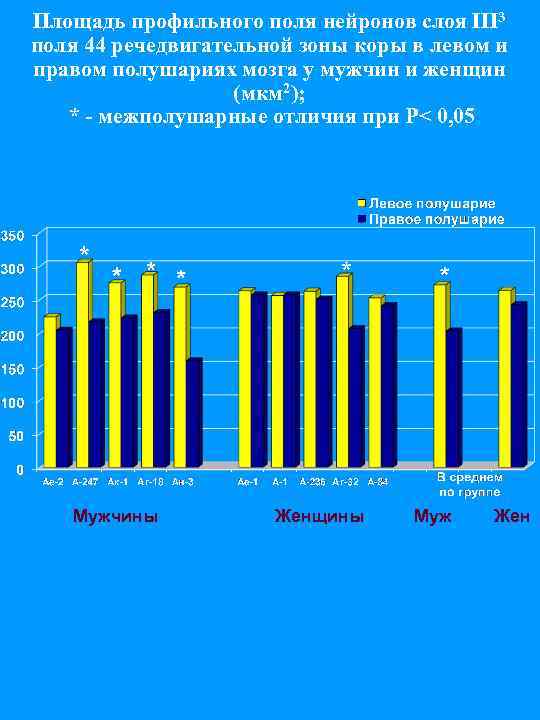 Площадь профильного поля нейронов слоя III 3 поля 44 речедвигательной зоны коры в левом