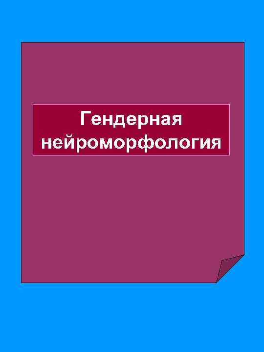 Гендерная нейроморфология 