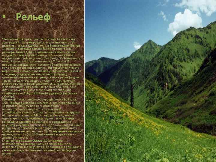  • Рельеф территории, где расположен Байкальский заповедник , сформировался около миллиона лет назад