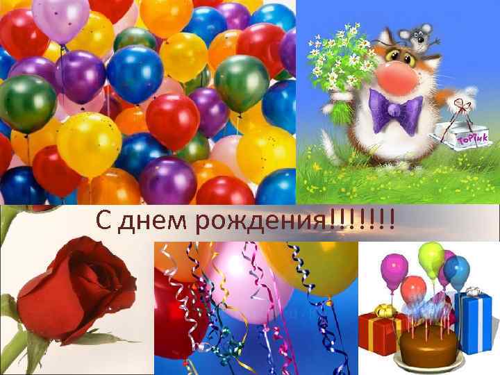 С днем рождения!!!!!!! 