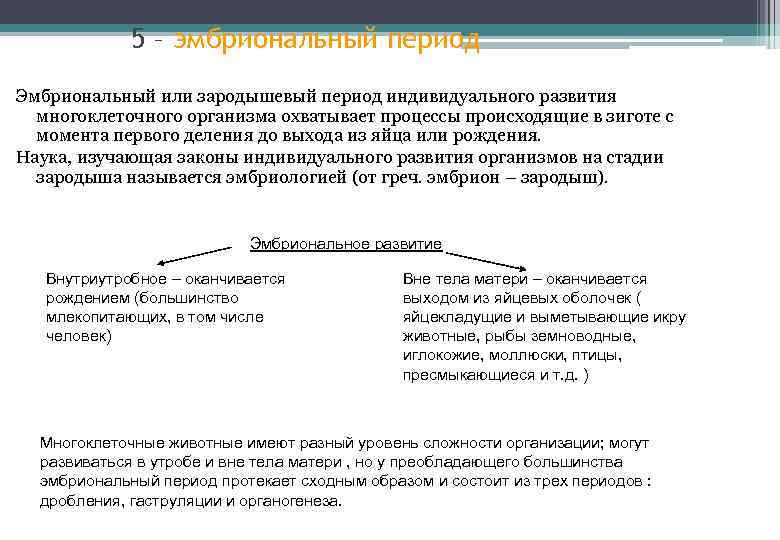 5 – эмбриональный период Эмбриональный или зародышевый период индивидуального развития многоклеточного организма охватывает процессы