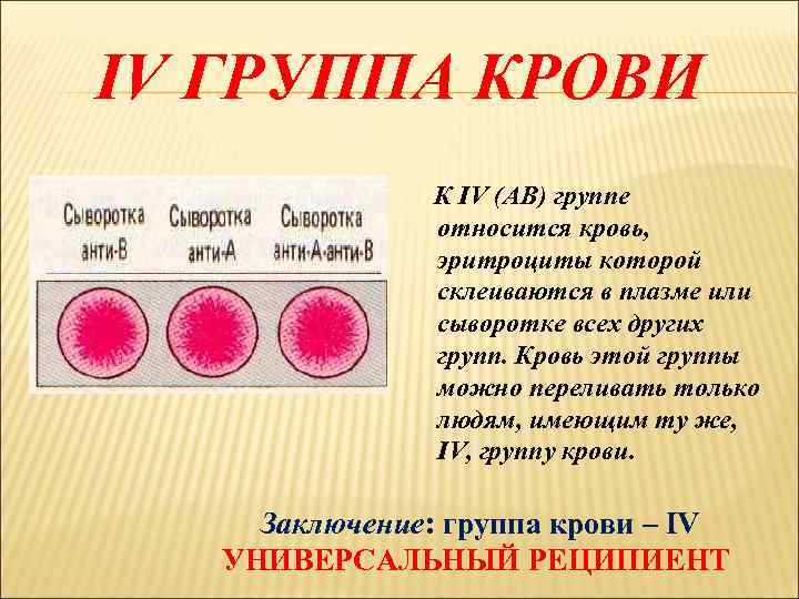 IV ГРУППА КРОВИ К IV (АВ) группе относится кровь, эритроциты которой склеиваются в плазме