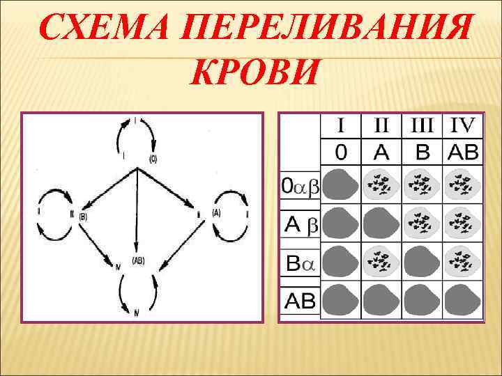 СХЕМА ПЕРЕЛИВАНИЯ КРОВИ 