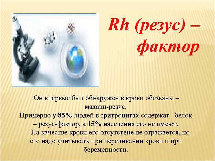  Rh (резус) – фактор Он впервые был обнаружен в крови обезьяны – макаки-резус.