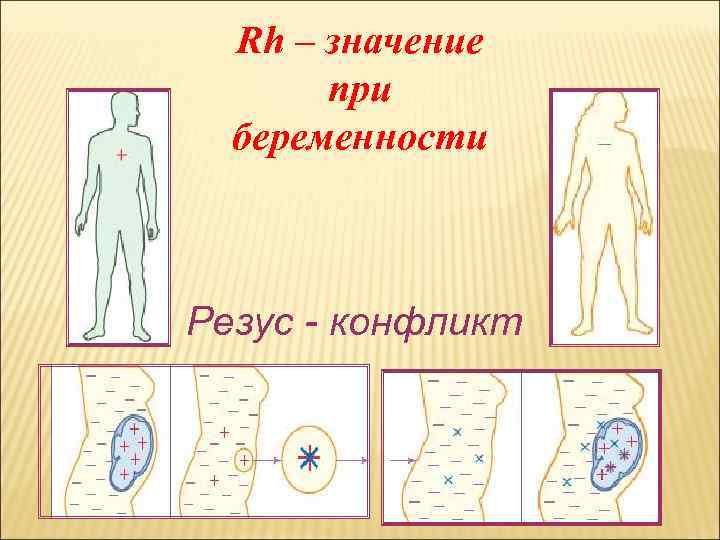 Rh – значение при беременности Резус - конфликт 