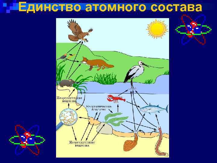 Единство атомного состава 