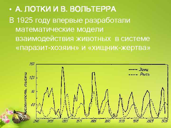  • А. ЛОТКИ И В. ВОЛЬТЕРРА В 1925 году впервые разработали математические модели