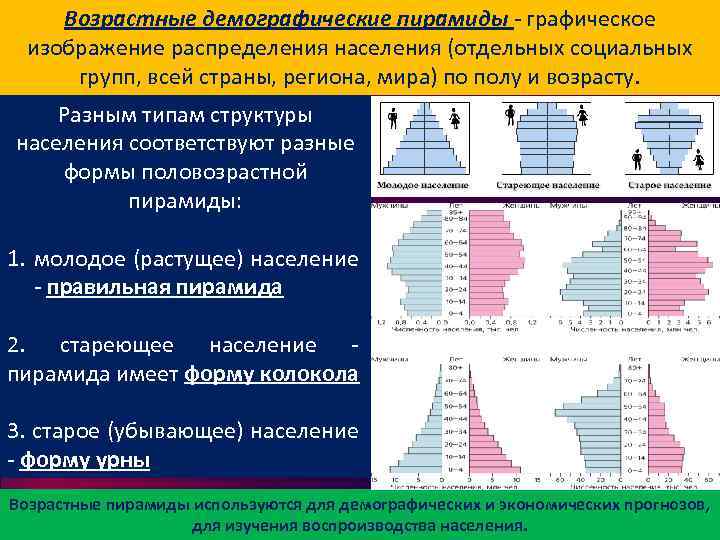 Возрастные демографические пирамиды - графическое изображение распределения населения (отдельных социальных групп, всей страны, региона,