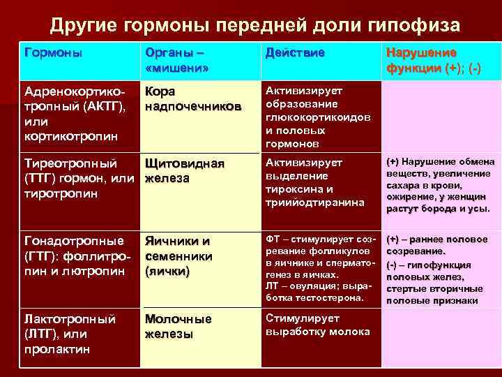 Другие гормоны передней доли гипофиза Гормоны Органы – «мишени» Действие Адренокортикотропный (АКТГ), или кортикотропин