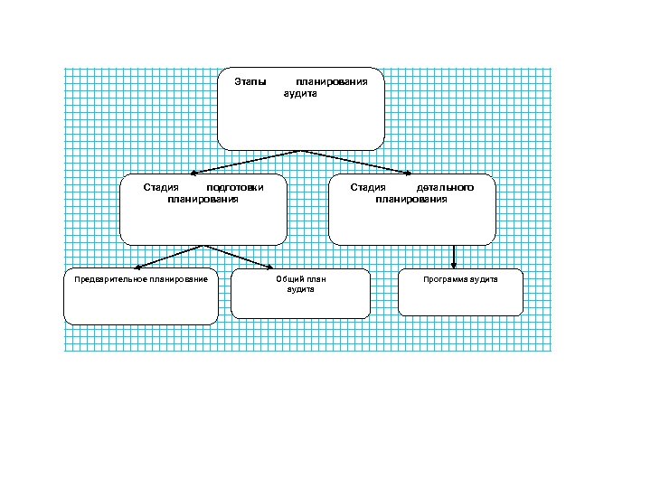 Этапы планирования аудита Стадия подготовки планирования Предварительное планирование Стадия детального планирования Общий план аудита