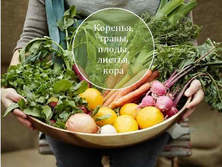 Коренья, травы, плоды, листья, кора 