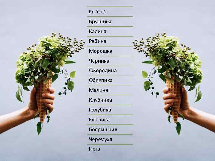 Клюква Брусника Калина Рябина Морошка Черника Смородина Облепиха Малина Клубника Голубика Ежевика Боярышник Черемуха