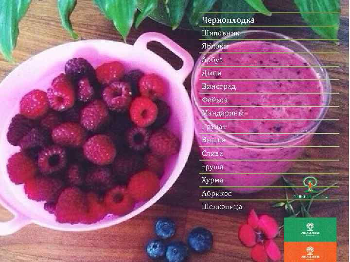 Черноплодка Шиповник Яблоки Арбуз Дыня Виноград Фейхоа Мандарины Гранат Вишня Слива груша Хурма Абрикос