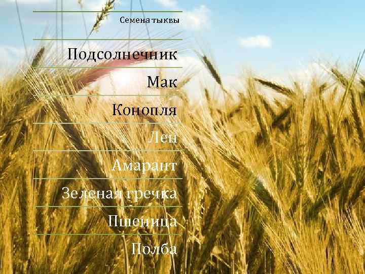 Семена тыквы Подсолнечник Мак Конопля Лен Амарант Зеленая гречка Пшеница Полба 
