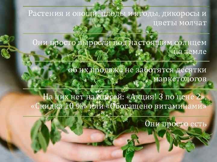 Растения и овощи, плоды и ягоды, дикоросы и цветы молчат Они просто выросли под