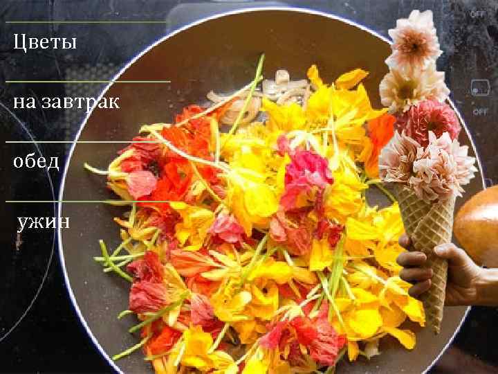Цветы на завтрак обед ужин 