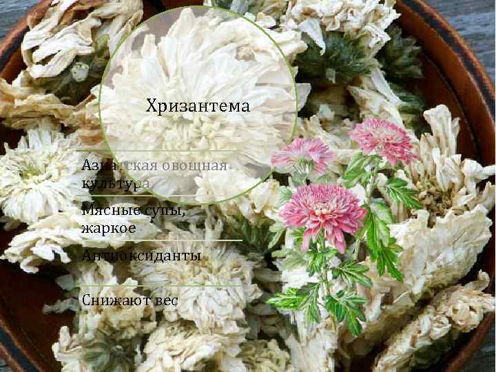 Хризантема Азиатская овощная культура Мясные супы, жаркое Антиоксиданты Снижают вес 