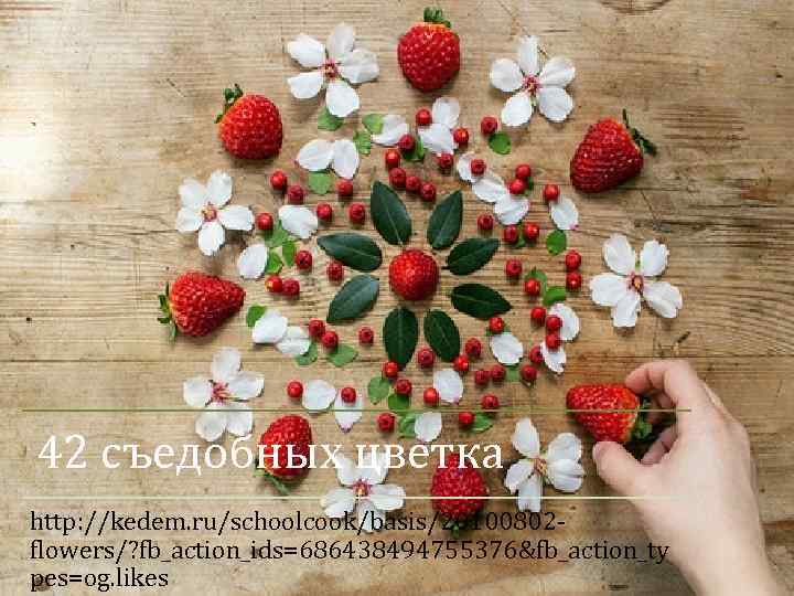 42 съедобных цветка http: //kedem. ru/schoolcook/basis/20100802 flowers/? fb_action_ids=686438494755376&fb_action_ty pes=og. likes 