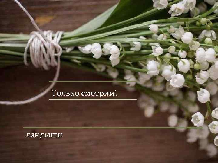 Только смотрим! ландыши 