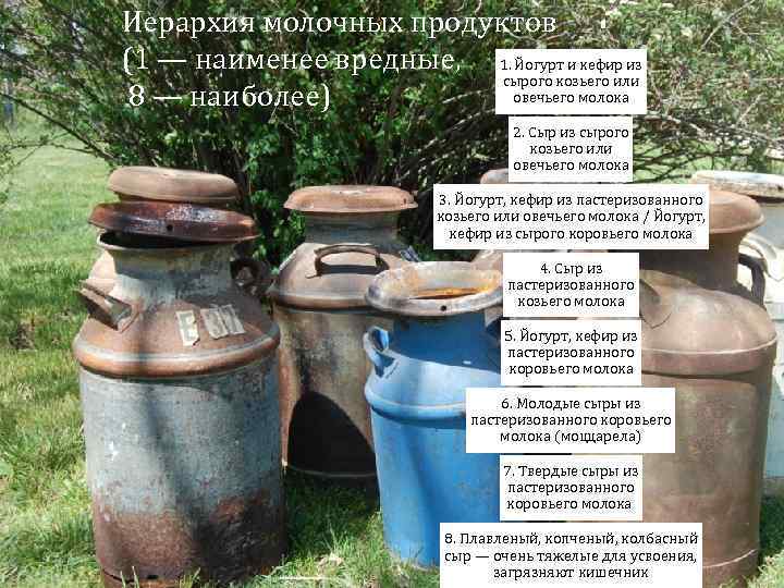 Иерархия молочных продуктов (1 — наименее вредные, 1. Йогурт и кефир из сырого козьего