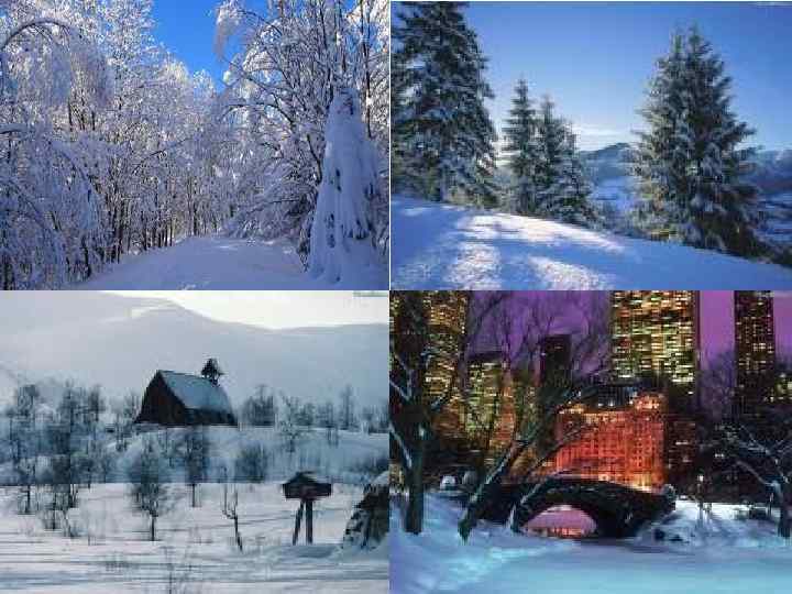 Снег кружится, Снег ложится Снег! Рады снегу зверь и птица И, конечно, человек! 