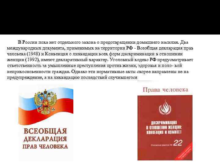 В России пока нет отдельного закона о предотвращении домашнего насилия. Два международных документа, применимых