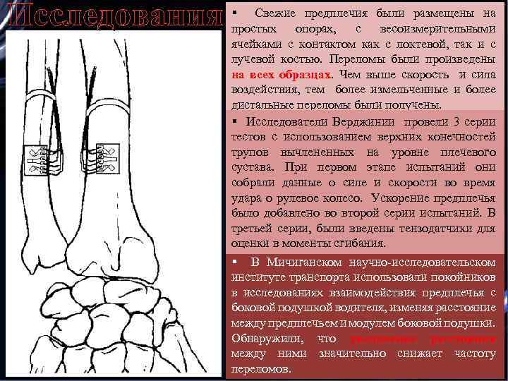 Исследования § Свежие предплечия были размещены на простых опорах, с весоизмерительными ячейками с контактом