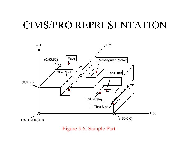 CIMS/PRO REPRESENTATION 