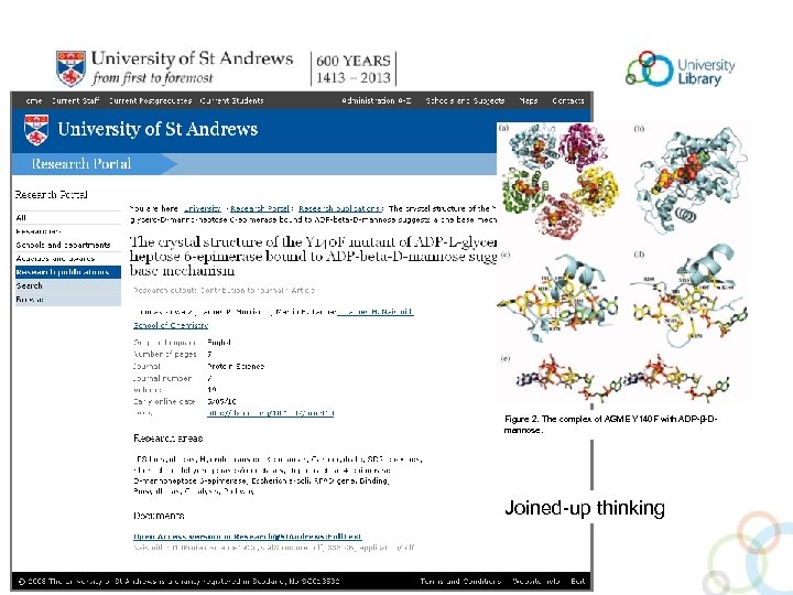 Figure 2. The complex of AGME Y 140 F with ADP-β-Dmannose. Joined-up thinking 
