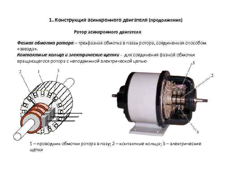 1. Конструкция асинхронного двигателя (продолжение) Ротор асинхронного двигателя Фазная обмотка ротора – трехфазная обмотка