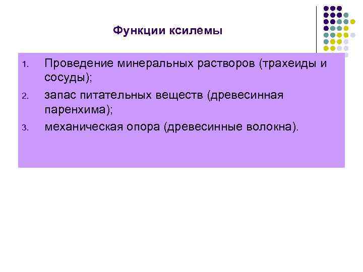 Функции ксилемы 1. 2. 3. Проведение минеральных растворов (трахеиды и сосуды); запас питательных веществ