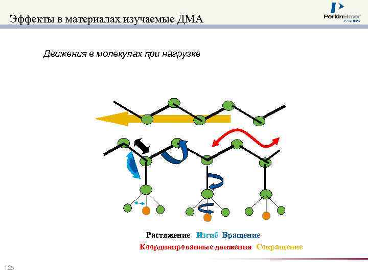 Эффекты в материалах изучаемые ДМА Движения в молекулах при нагрузке Растяжение Изгиб Вращение Координированные