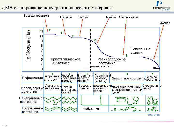 ДМА сканирование полукристаллического материала Высокая твердость Твердый Гибкий Мягкий Очень мягкий Lg Модуля (Па)