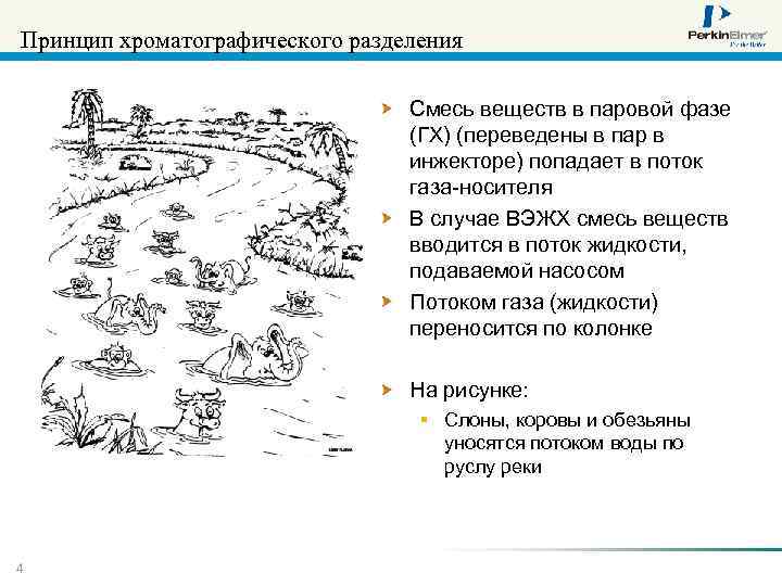 Принцип хроматографического разделения Смесь веществ в паровой фазе (ГХ) (переведены в пар в инжекторе)