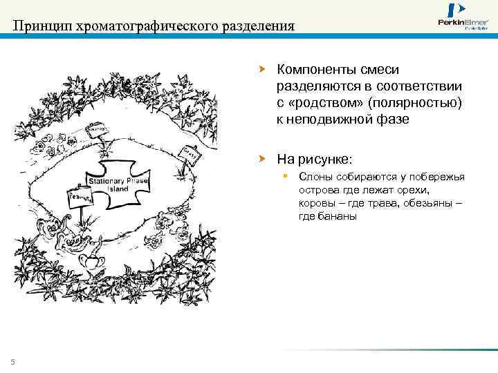 Принцип хроматографического разделения Компоненты смеси разделяются в соответствии с «родством» (полярностью) к неподвижной фазе