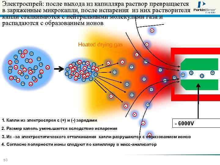 Электроспрей: после выхода из капилляра раствор превращается в заряженные микрокапли, после испарения из них
