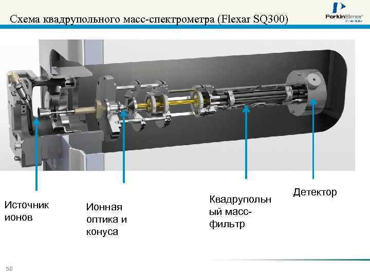 Схема квадрупольного масс-спектрометра (Flexar SQ 300) Источник ионов 56 Ионная оптика и конуса Квадрупольн