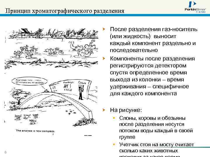 Принцип хроматографического разделения После разделения газ-носитель (или жидкость) выносит каждый компонент раздельно и последовательно