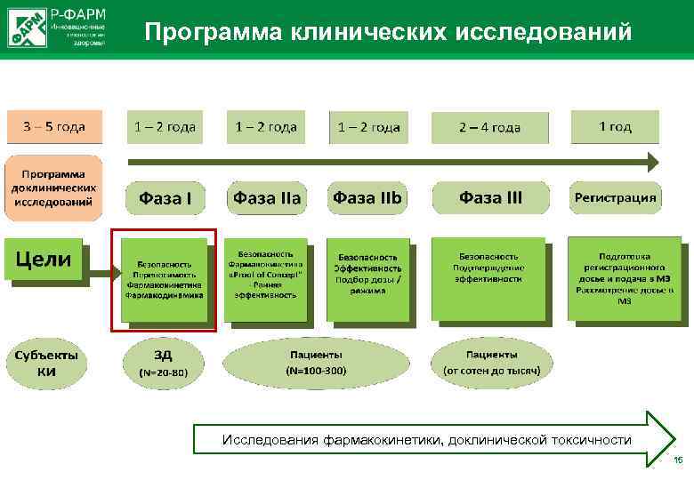 Программа клинических исследований Исследования фармакокинетики, доклинической токсичности 15 