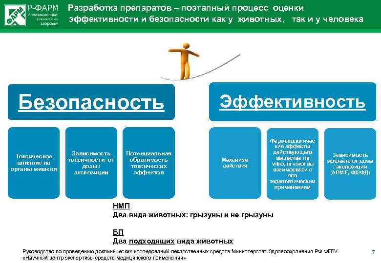  Разработка препаратов – поэтапный процесс оценки эффективности и безопасности как у животных, так