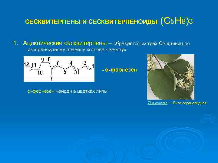 Эфирные масла презентация фармакогнозия