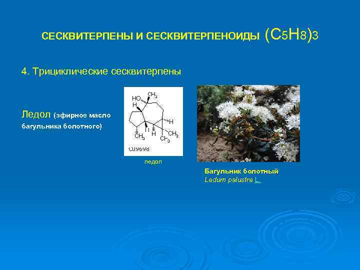 СЕСКВИТЕРПЕНЫ И СЕСКВИТЕРПЕНОИДЫ (С 5 Н 8)3 4. Трициклические сесквитерпены Ледол (эфирное масло багульника