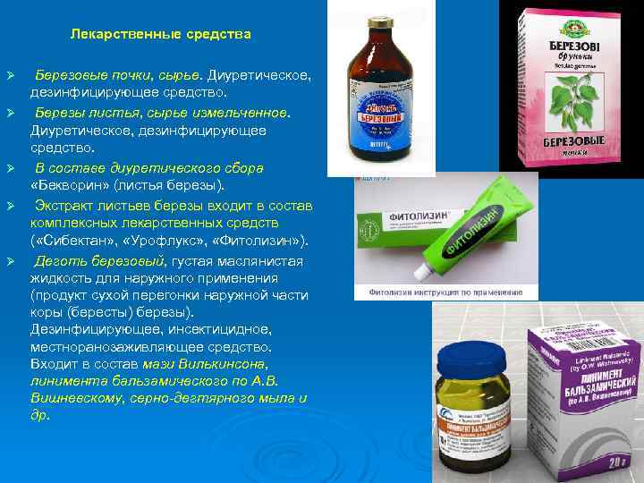 Лекарственные средства Ø Ø Ø Березовые почки, сырье. Диуретическое, дезинфицирующее средство. Березы листья, сырье