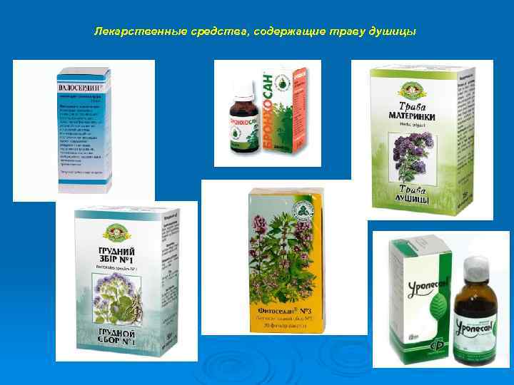 Лекарственные средства, содержащие траву душицы 