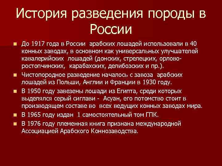 История разведения породы в России n n n До 1917 года в России арабских