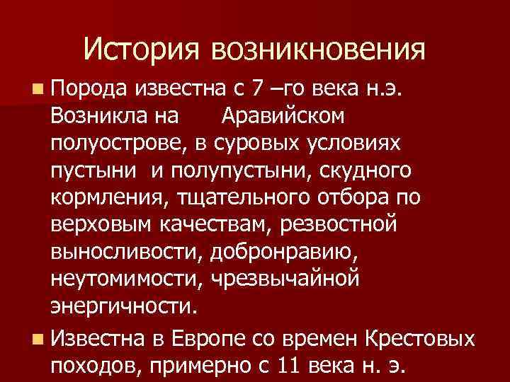 История возникновения n Порода известна с 7 –го века н. э. Возникла на Аравийском